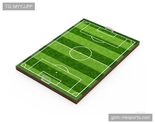 足球场尺寸规则详解及国际比赛的标准规定