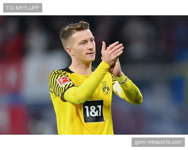 多特防线表现持续不稳，稳定性面临考验