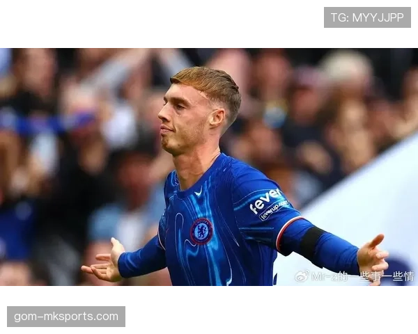 帕尔默是否被高估？赛场贡献与身价匹配度深度分析